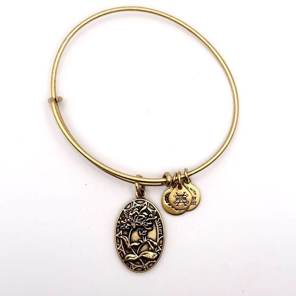 Alex an Ani Sister Irreplaceable Forever Friend 2018 Expandable Bangle Bracelet - Picture 1 of 3